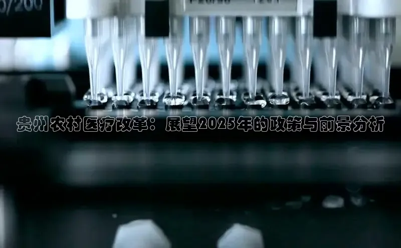 vsports足球官方网站