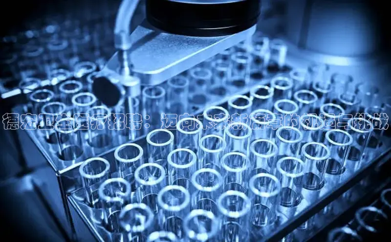 VSport胜利因您更精彩