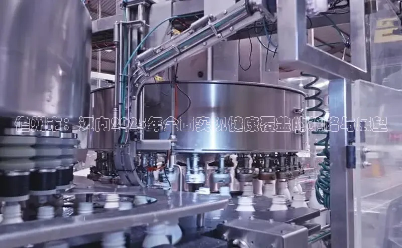 Vsport体育网页手机版