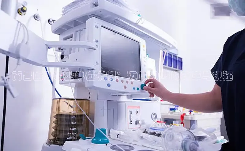 vsport体育在线比赛直播入口