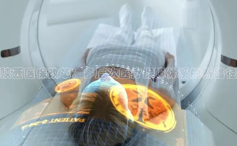 v体育app入口网页版