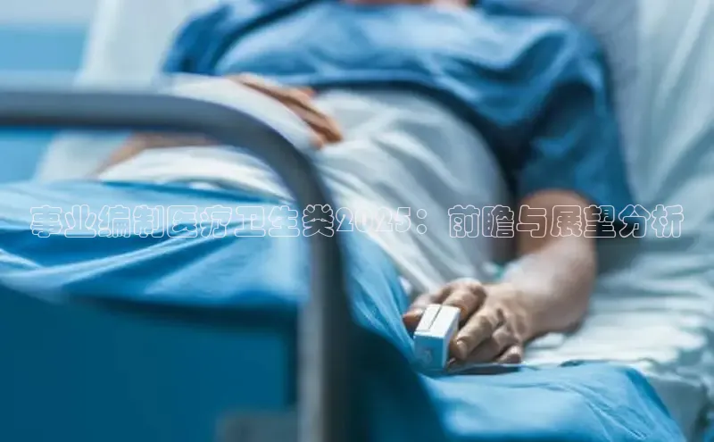 V·体育官方网站