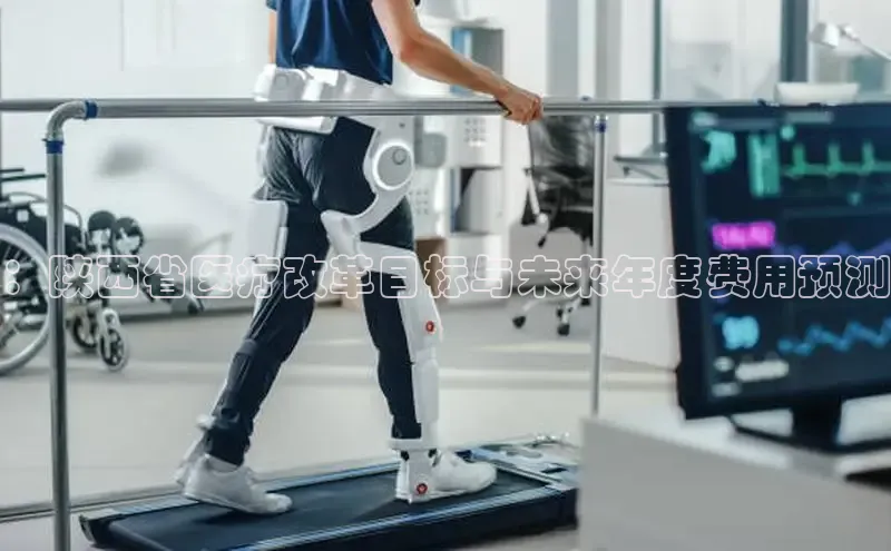 V体育网页版入口